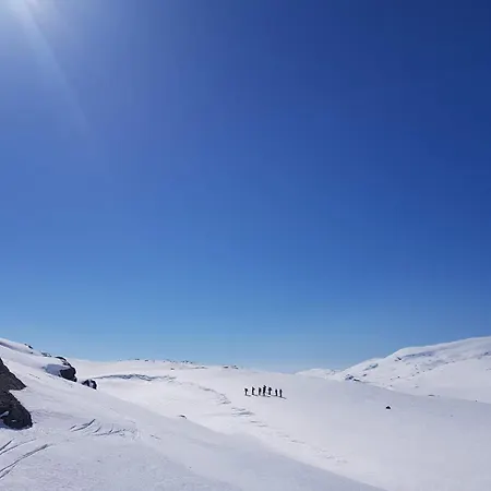 Mountain View 2