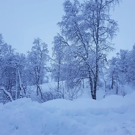 Apartment Mountain View 2 *