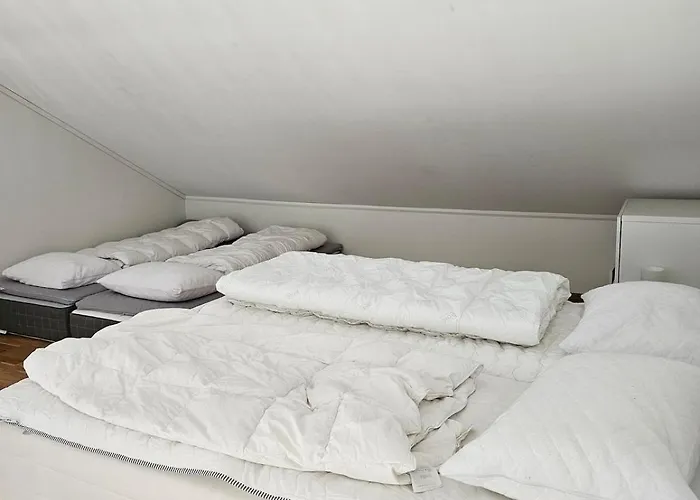 Mountain View 2 Horre